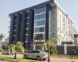 The dark grey and white multi-storey exterior of The Palms Hotel behind palm trees, Abuja