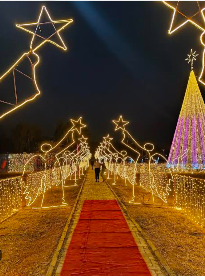 A walkway of golden Christmas light figures and a glowing tree at night