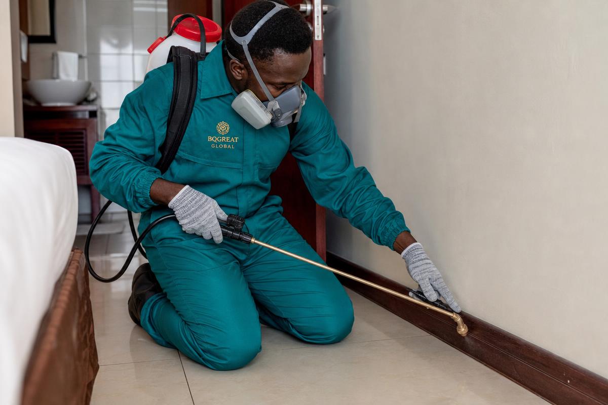 Fumigation & pest control by BQgreat Global